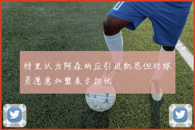 特里认为阿森纳应引进凯恩但对球员愿意加盟表示担忧