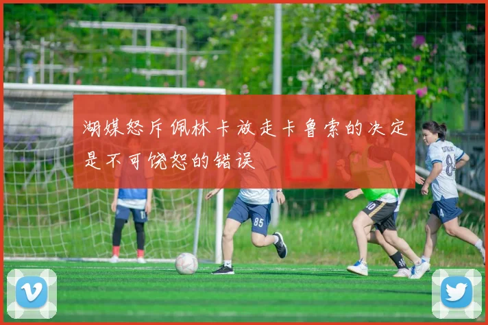 湖媒怒斥佩林卡放走卡鲁索的决定是不可饶恕的错误